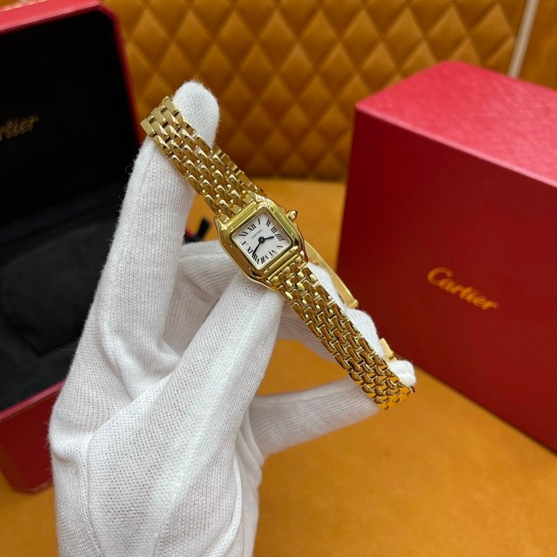 P2900 - WGPN0036（mini）