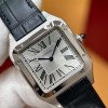 cartier watch - WSSA0022