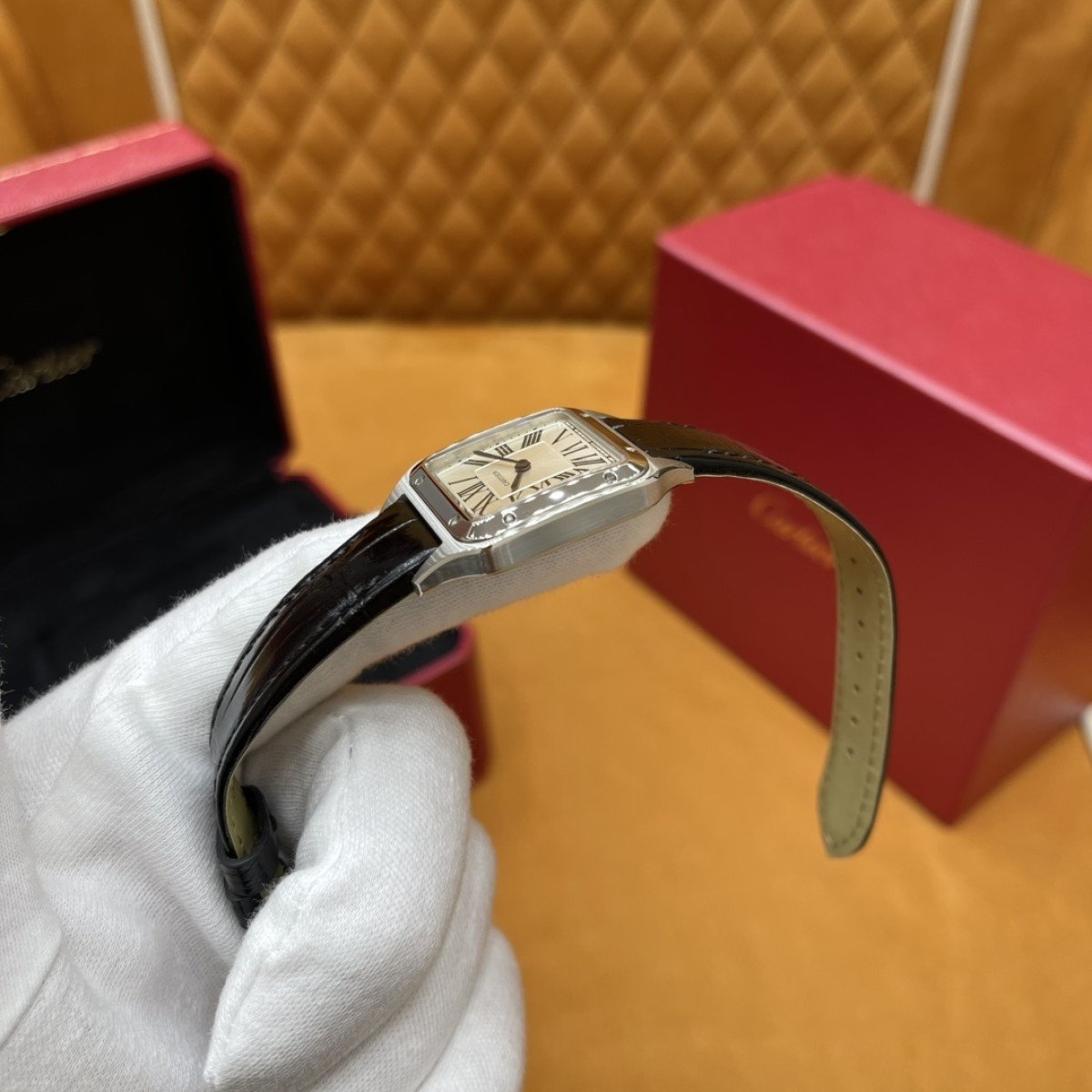 P3200 - WSSA0023（小号）