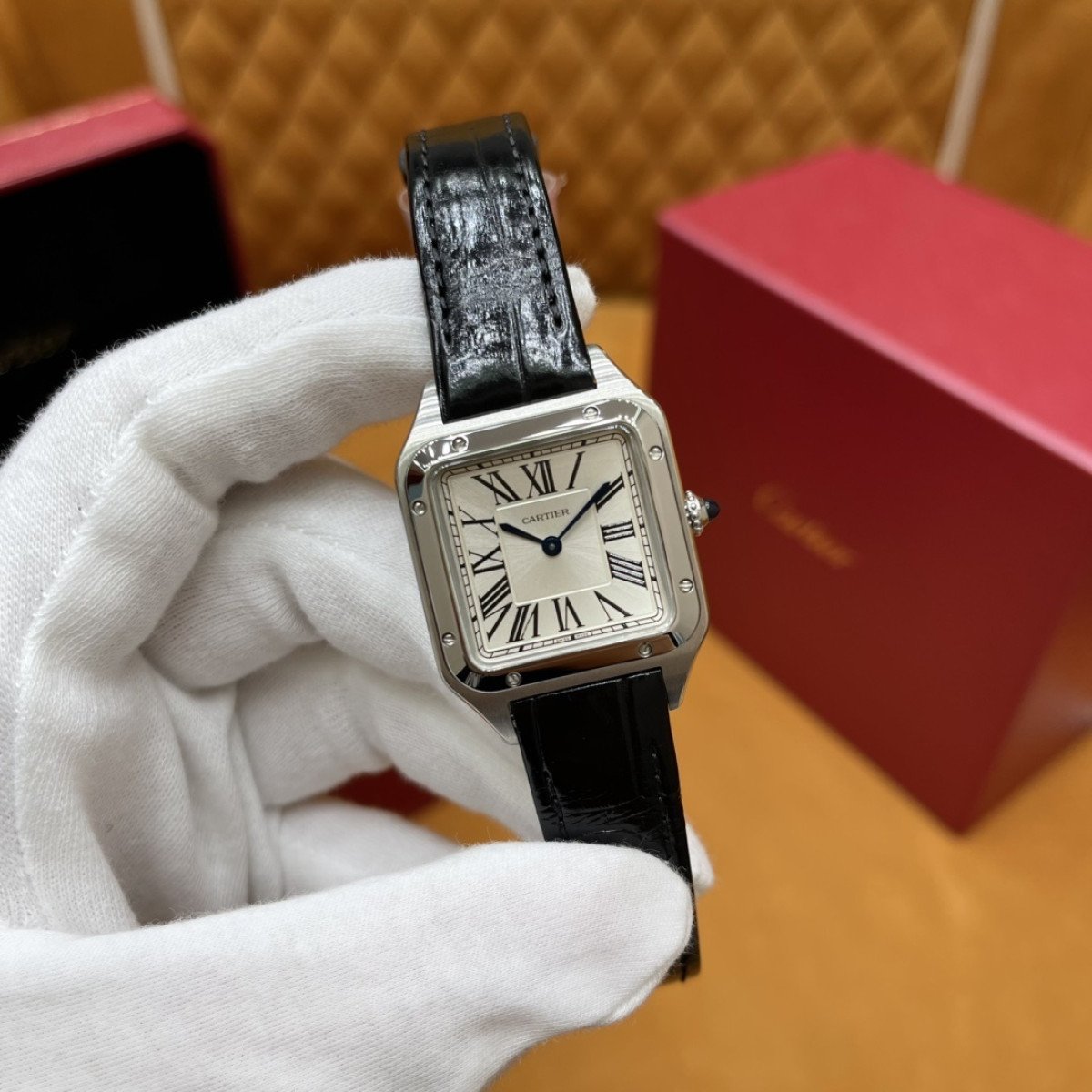 P3200 - WSSA0023（小号）