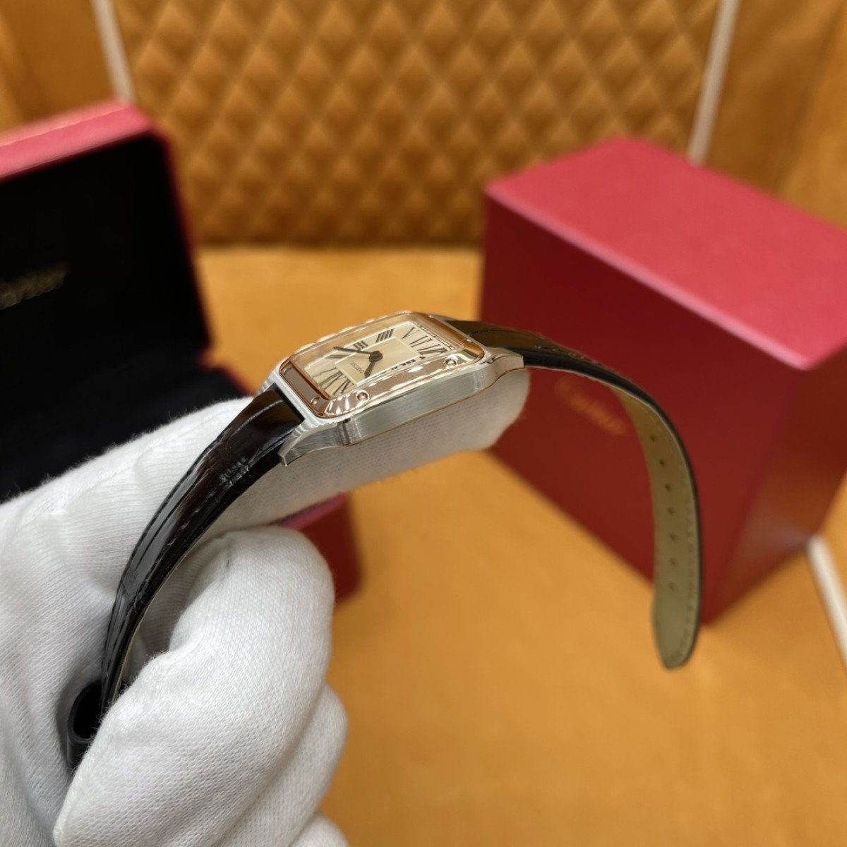 P3300 - W2SA0012（小号）