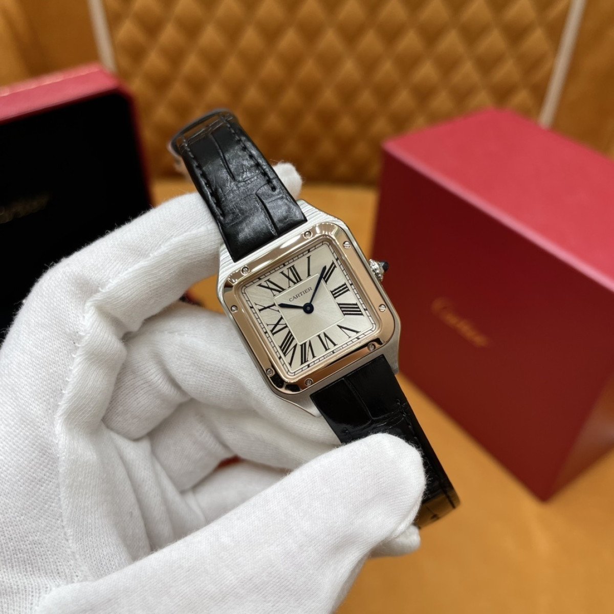 P3300 - W2SA0012（小号）