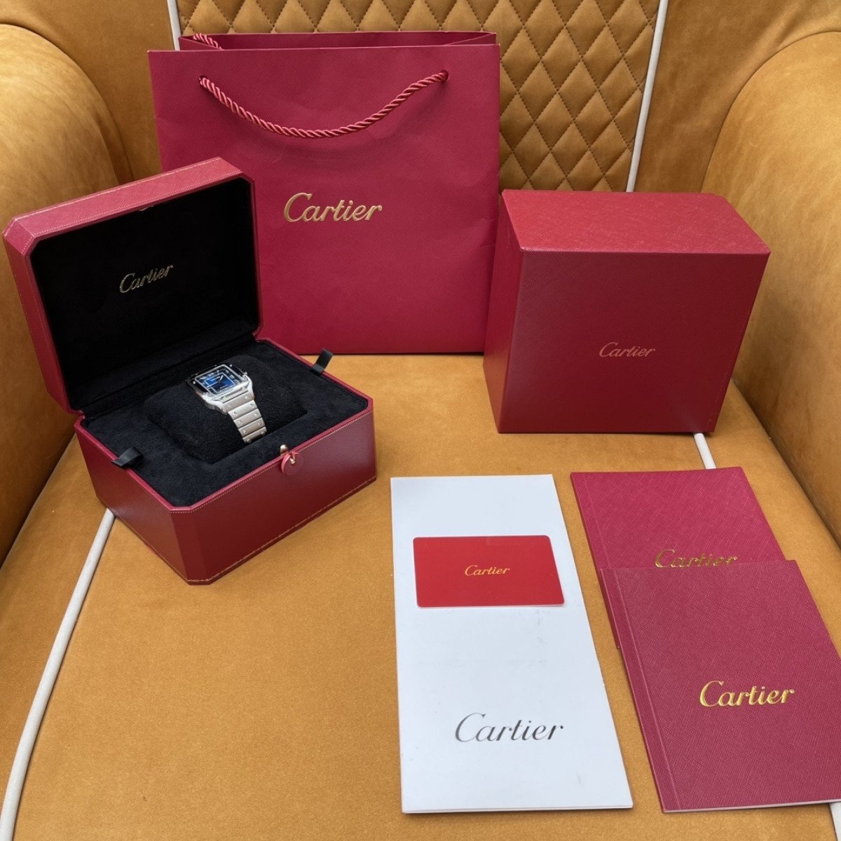 cartier watch - WSSA0063
